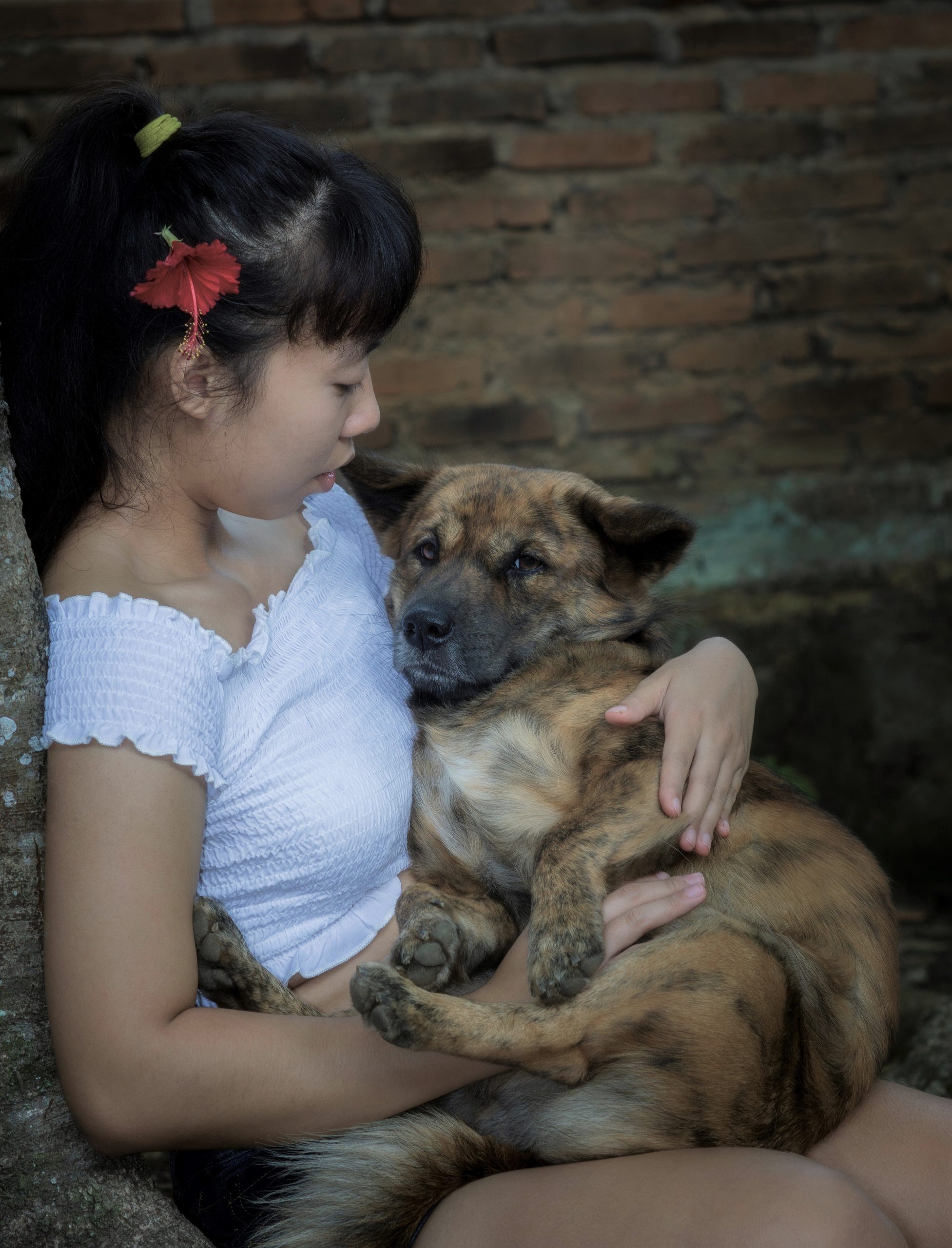 Help Mai with Her Puppy Recovery Journey