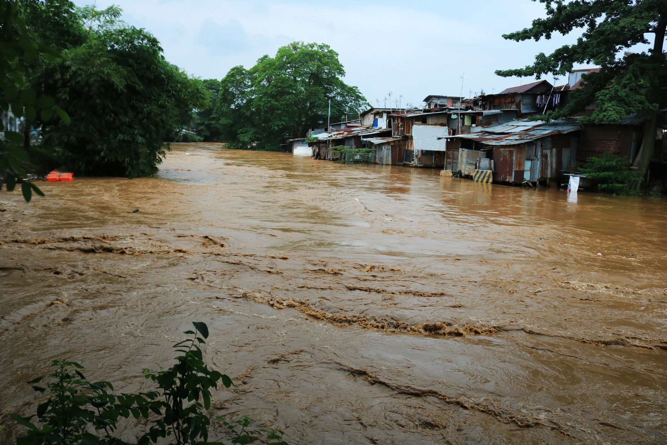  Please Help My Mother to Start Over