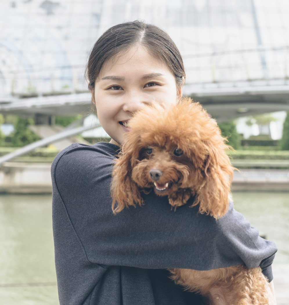 Support Momo Urgent Veterinary Bills