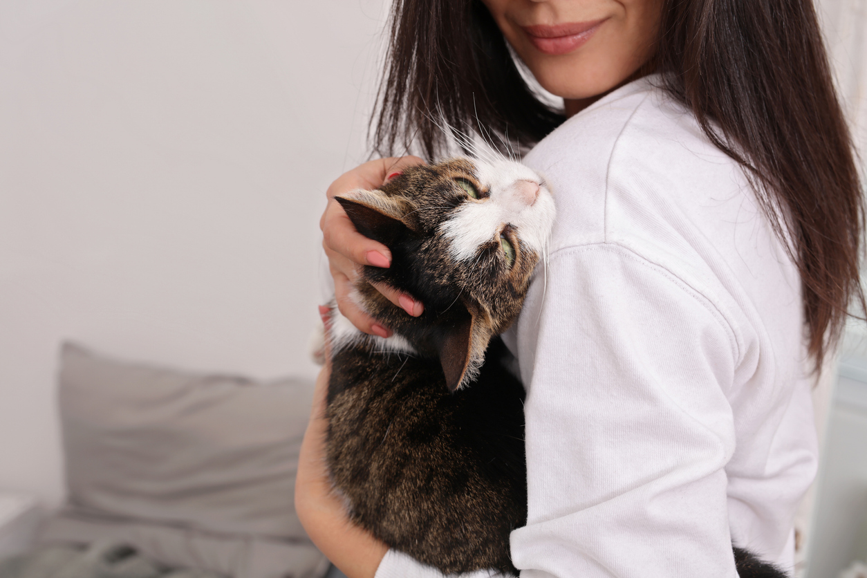 Please Help Tina in the road to Recovery